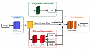 Biomedical image detection and report generation framework