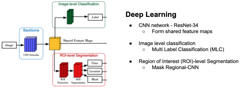 Biomedical image detection framework