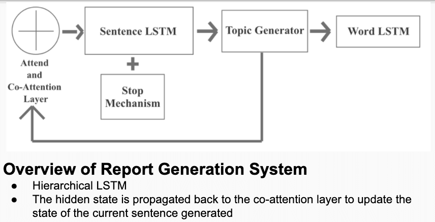 Biomedical image report generation framework
